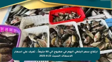 ارتفاع سعر البلطي اليوم في مطروح إلى 80 جنيهاً.. تعرف على أسعار الأسماك السبت 23-8-2025
